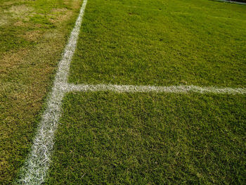 Image of a piece of a soccer field in brazil