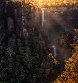 Scenic view of waterfall in forest