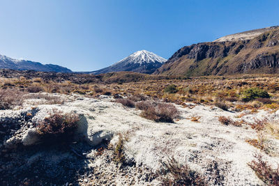 Scenic view of landscape against clear sky