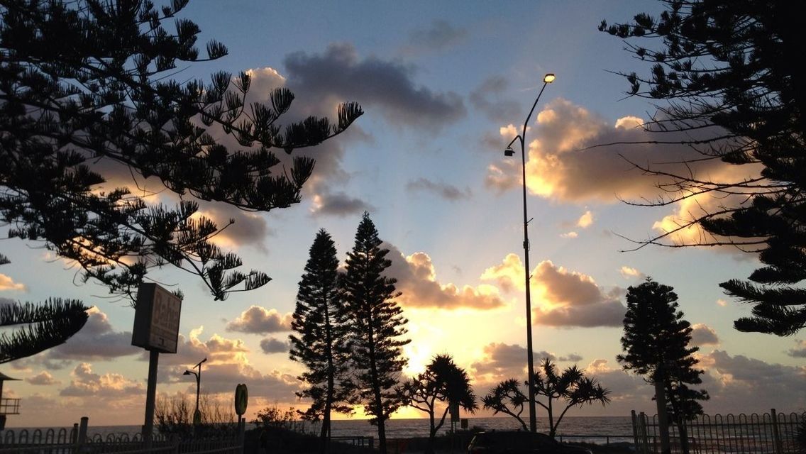 tree, sky, sunset, silhouette, cloud - sky, palm tree, beauty in nature, cloudy, scenics, tranquility, nature, tranquil scene, cloud, low angle view, tree trunk, street light, growth, idyllic, dusk, outdoors