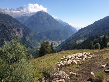 Scenic view of landscape against sky