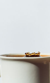 Close-up of dentures against white background