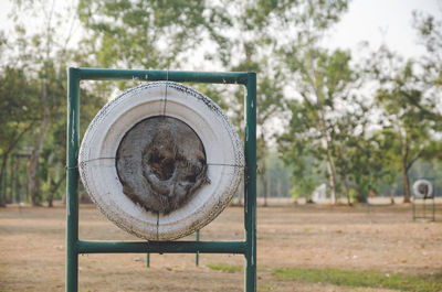 Close-up of old metal fence on field