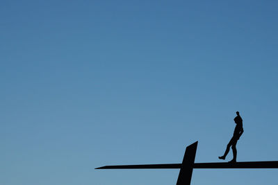 Low angle view of bird perching on wall