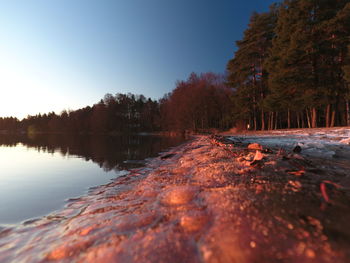 Reflection of trees in lake against sky