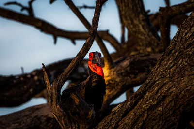 Bird perching on branch