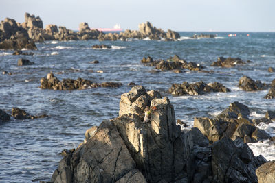 Close-up of rocks in sea against sky