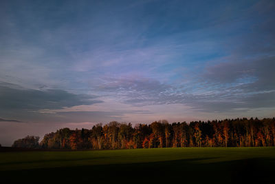 Trees on field against sky during sunset