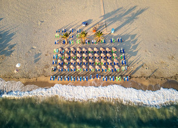 High angle view of plants on beach