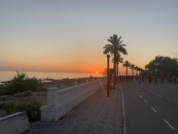 Scenic view of palm trees by sea against sky during sunset