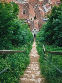 Narrow walkway leading to footpath