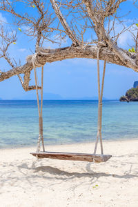 Wooden swing hang under tree at koh phak bia island, krabi, thailand