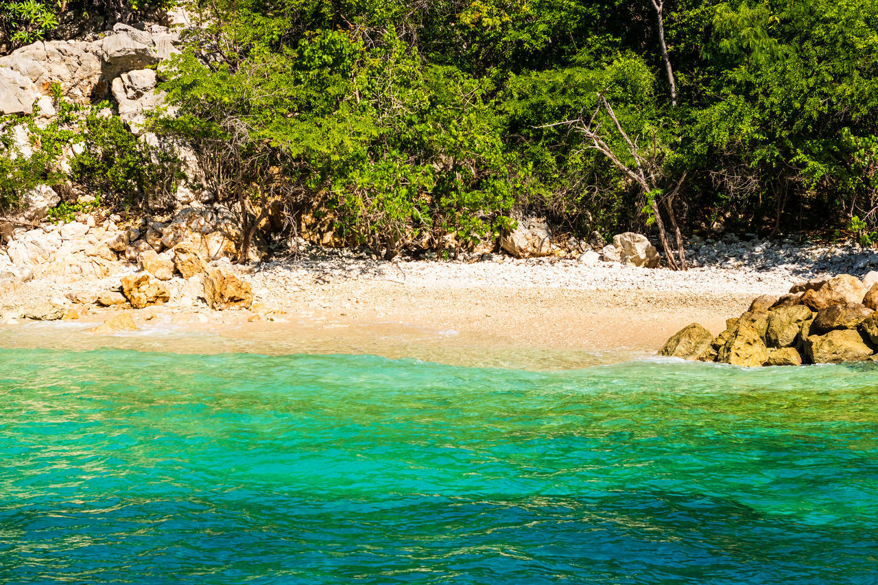 SCENIC VIEW OF SEA SHORE