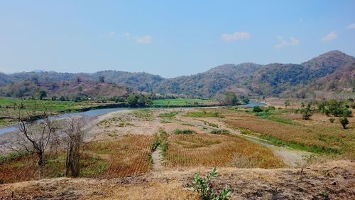 Scenic view of landscape against sky