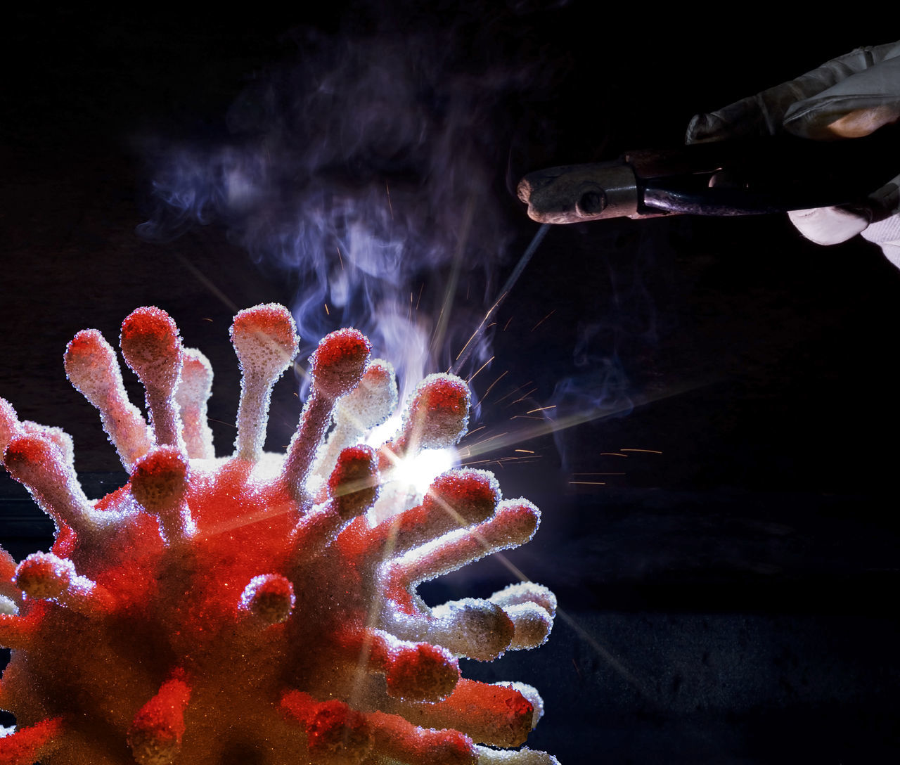 hand, red, macro photography, black background, one person, finger, fireworks, reef, indoors