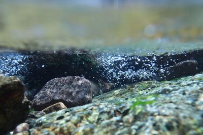 Close-up of rocks on sea shore