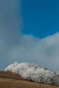 Scenic view of snow covered trees on landscape against sky