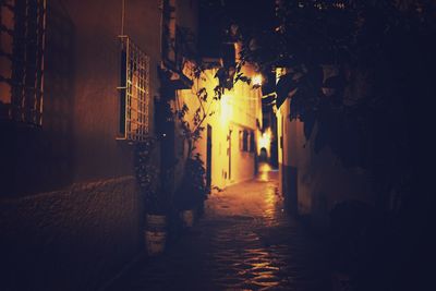 Alley amidst buildings at night