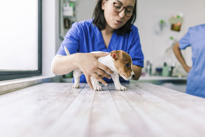 Midsection of veterinarian examining puppy