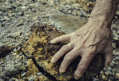 High angle view of human hand on rock