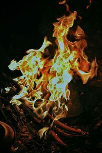 Close-up of bonfire at night