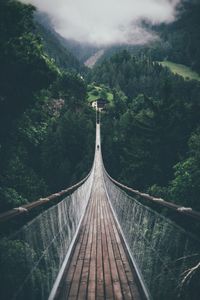 Footbridge in forest