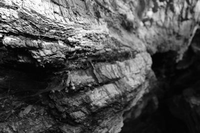 Close-up of rock formations on rock