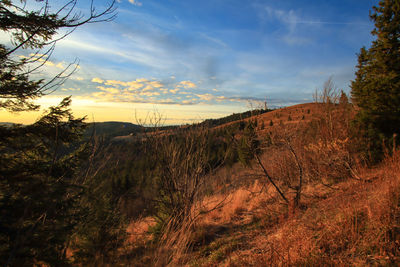Scenic view of field against sky during sunset