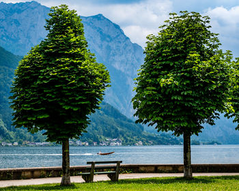 Two trees by the lake and a speedy boat passing, beautiful lake and mountains view