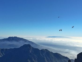 flying