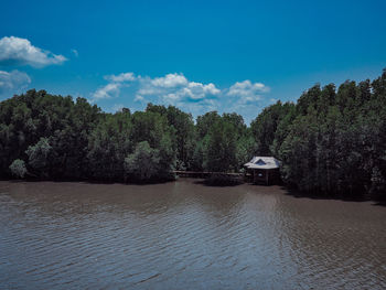 Scenic view of river in forest against sky