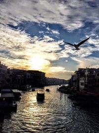 Birds flying over boats in city against sky