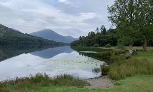 Scenic view of lake by trees against sky