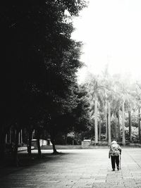 Rear view of woman walking by trees against sky