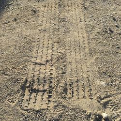 High angle view of tire tracks on sand