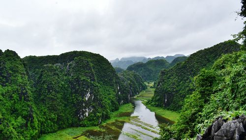 Panoramic shot of green landscape against sky