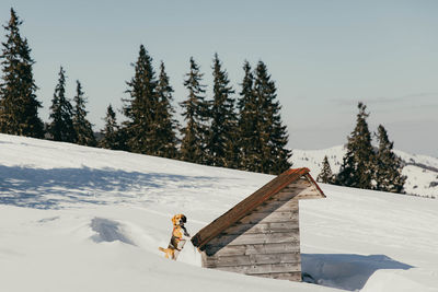 Person skiing on snow covered mountain against sky