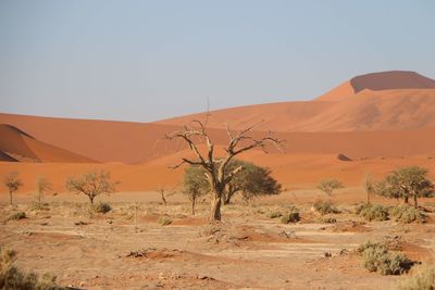 Scenic view of desert against clear sky