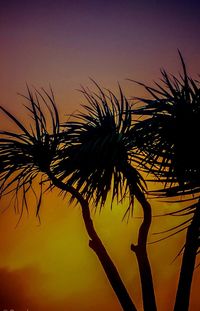 Low angle view of silhouette palm tree against sky