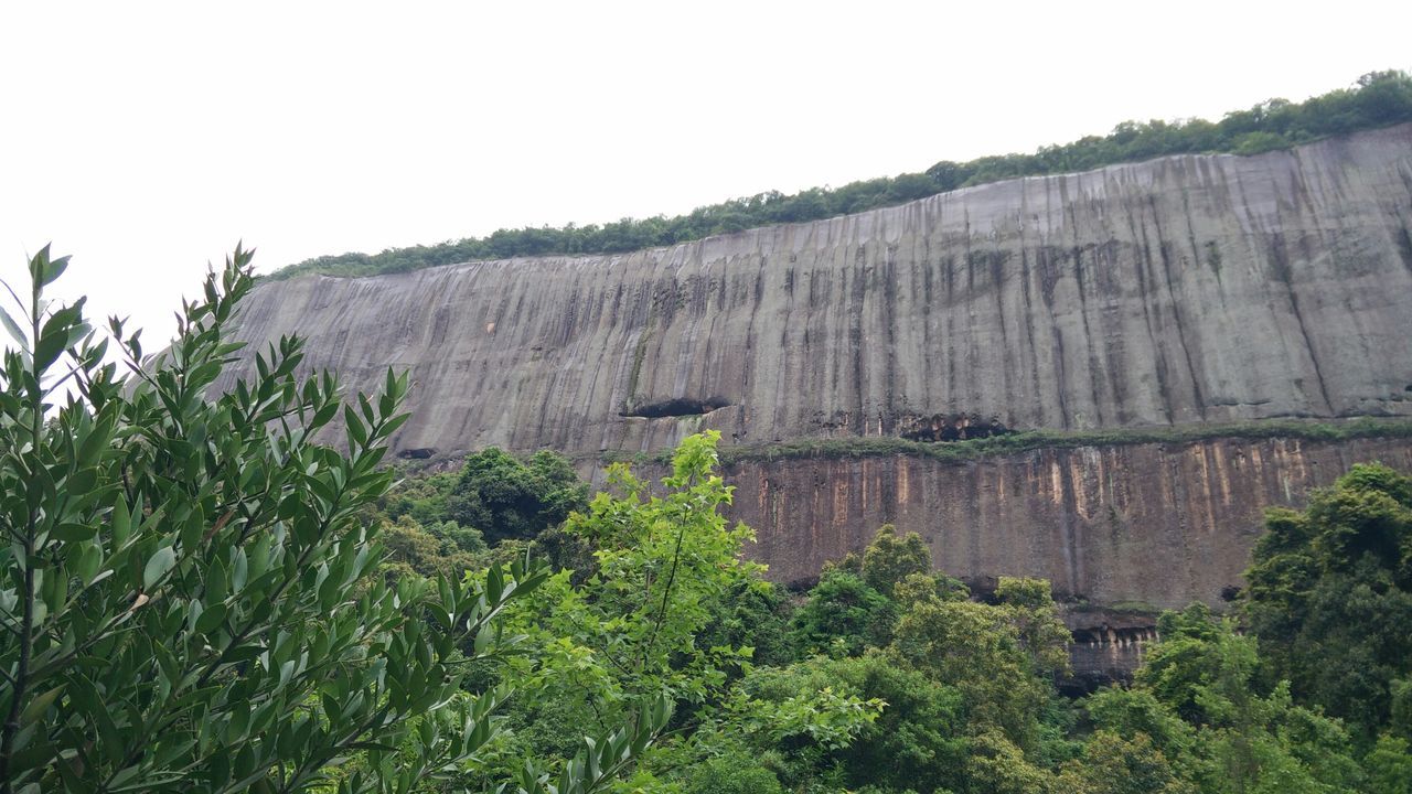 rock formation, tree, clear sky, tranquility, tranquil scene, nature, growth, cliff, plant, beauty in nature, rock - object, scenics, rock, mountain, geology, non-urban scene, sky, day, low angle view, landscape