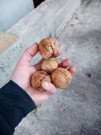 Close-up of hand holding food