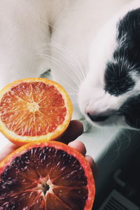 Cropped image of person holding grapefruit by cat sleeping at home