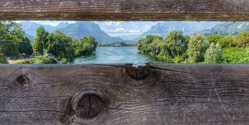 Scenic view of river by tree against sky