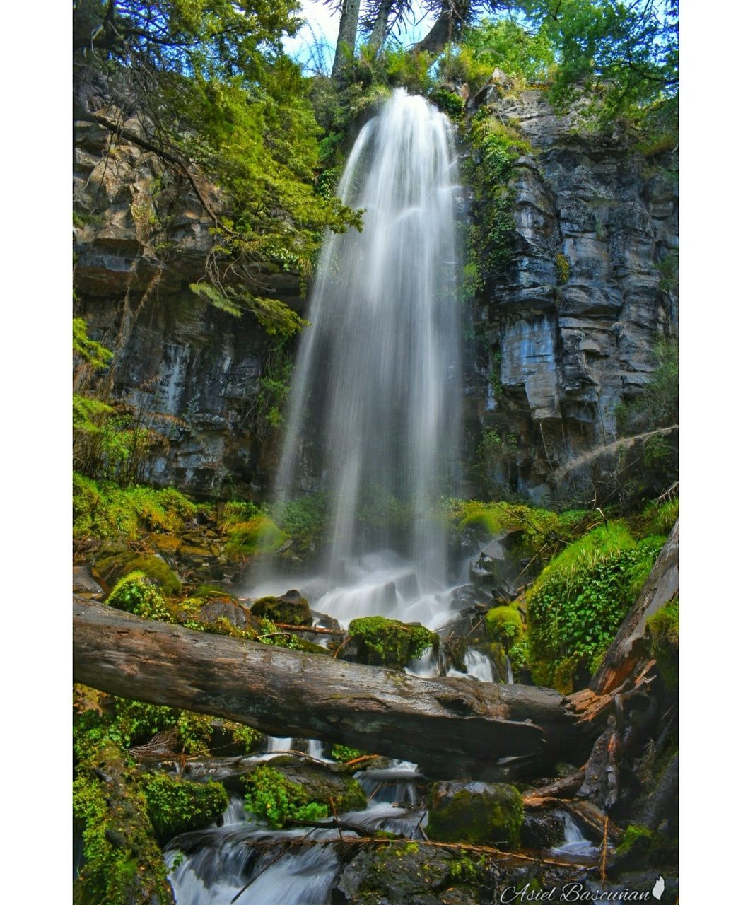 waterfall, scenics, nature, tree, forest, long exposure, beauty in nature, motion, blurred motion, day, no people, outdoors, water, tranquility, grass, travel destinations