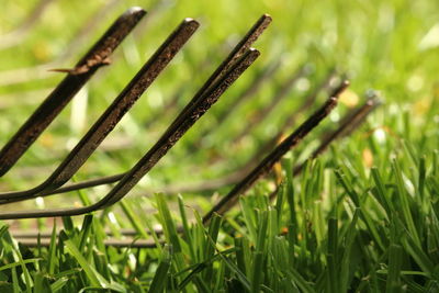 Close up of details of a metal rake lying on lawn