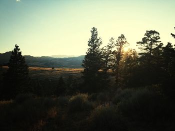 Scenic view of grassy field against sky