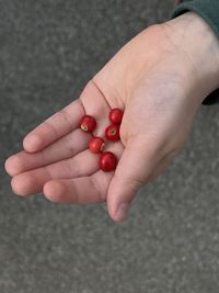 Cropped hand of person holding red berries 