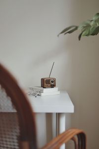 Potted plant on table at home