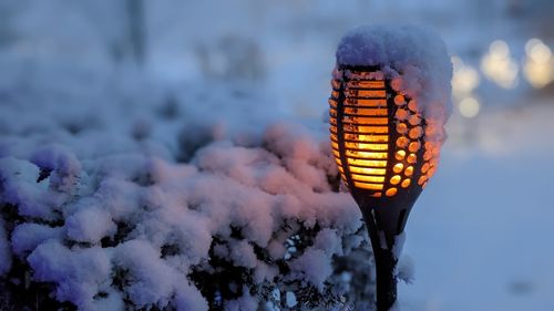 Closeup of snow on bushes and torch