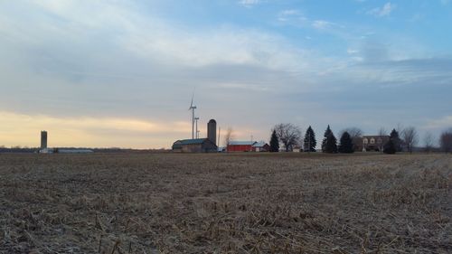 Barn and wind turbines on field against sky